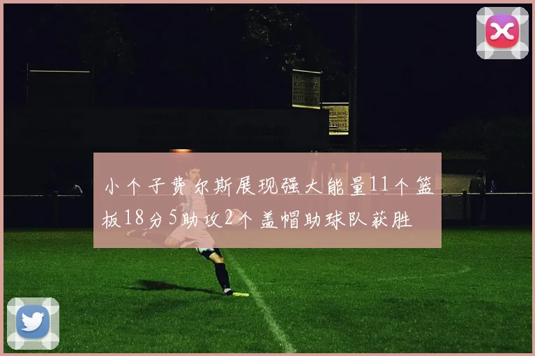 小个子费尔斯展现强大能量11个篮板18分5助攻2个盖帽助球队获胜