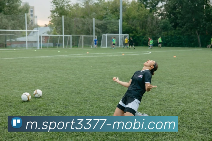 3377体育发展历程